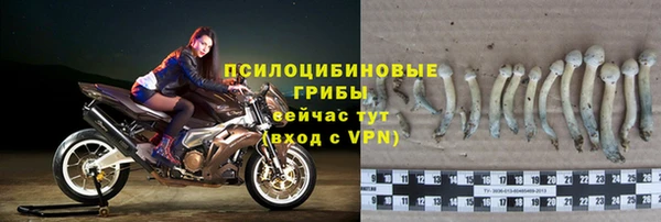 скорость Аркадак