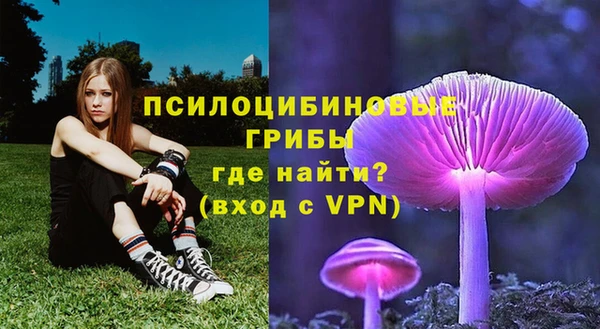кокс Арсеньев