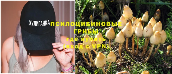 стафф Армянск