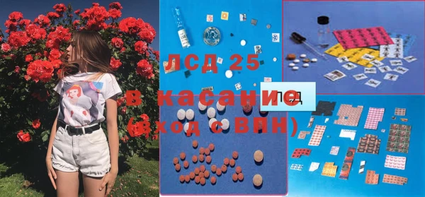бошки Лагань