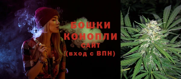 кокс Арсеньев