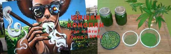 кокс Арсеньев