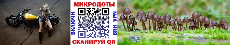 Псилоцибиновые грибы Psilocybine cubensis  где купить наркоту  Приволжск 
